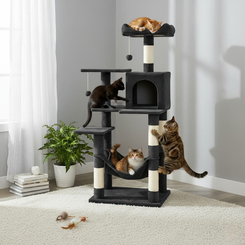 Arbre à chat maine coon noir