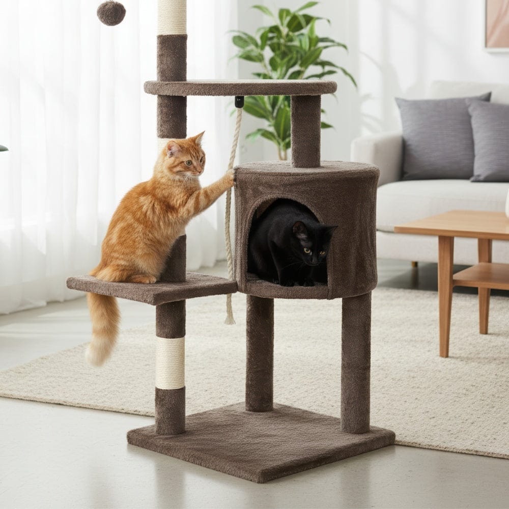 Arbre à chat - Marron