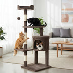 Arbre à chat - Marron