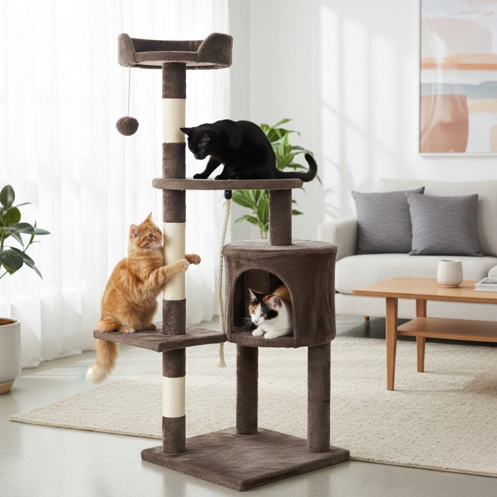 Arbre à chat - Marron