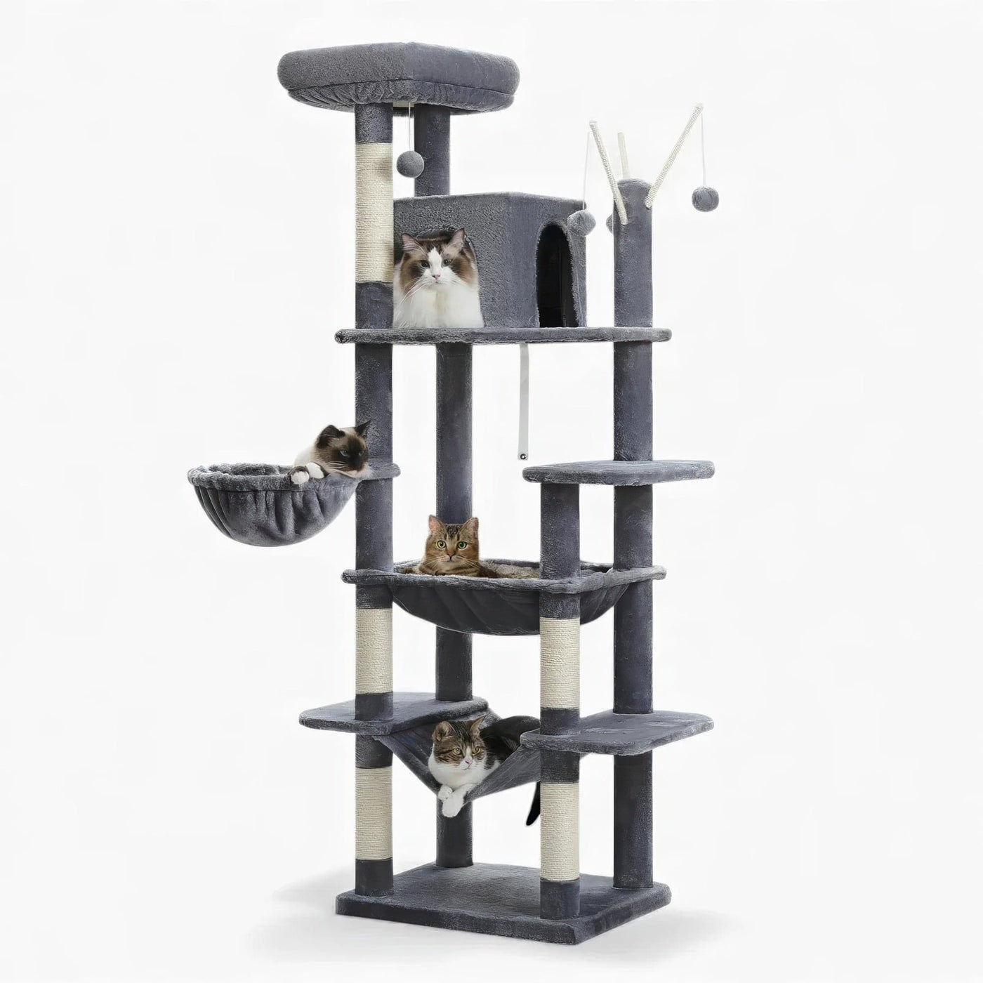 Arbre à chat - Moelleux