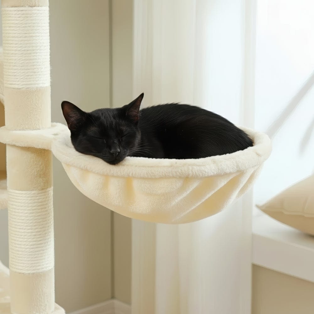 Arbre à chat - Mousse