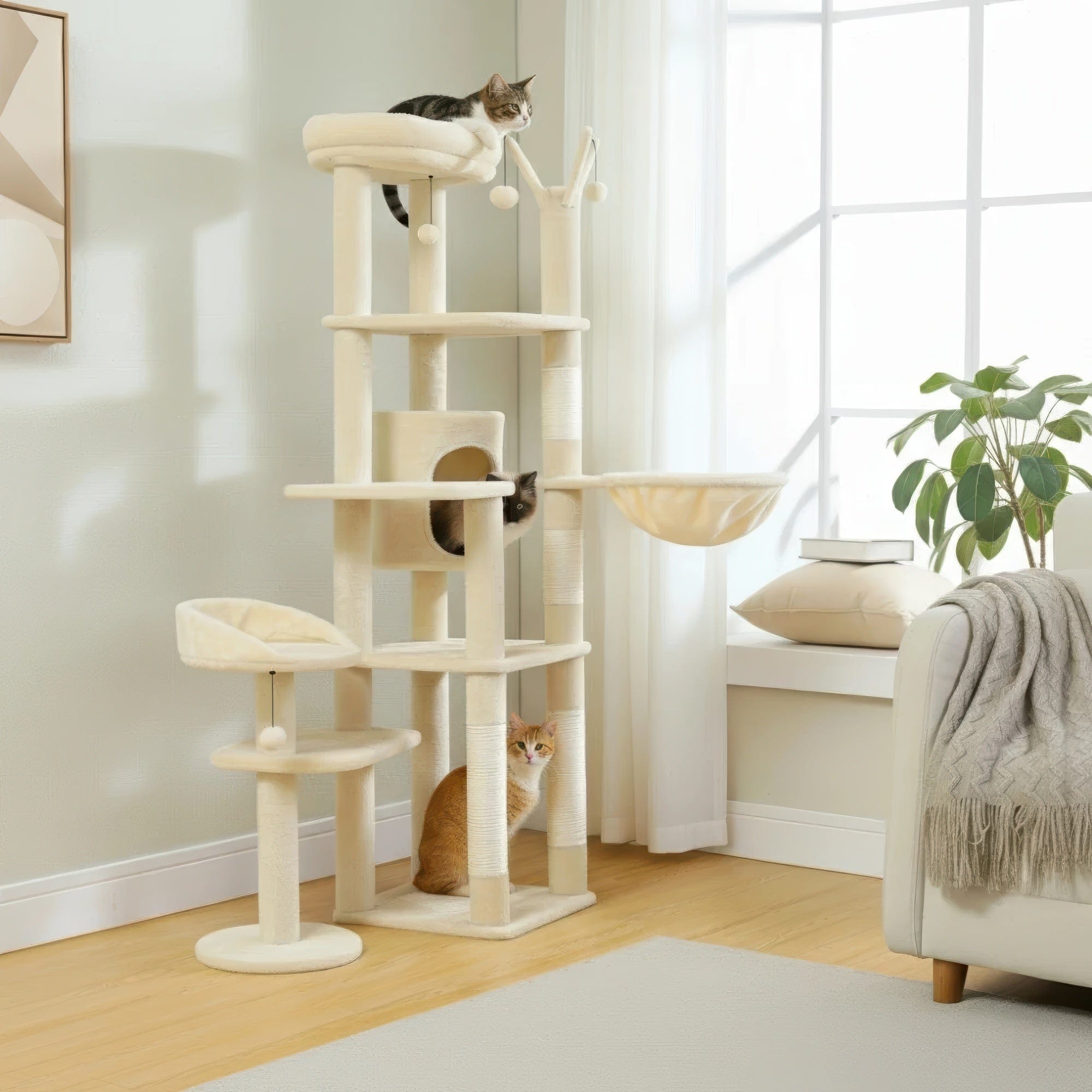 Arbre à chat - Mousse