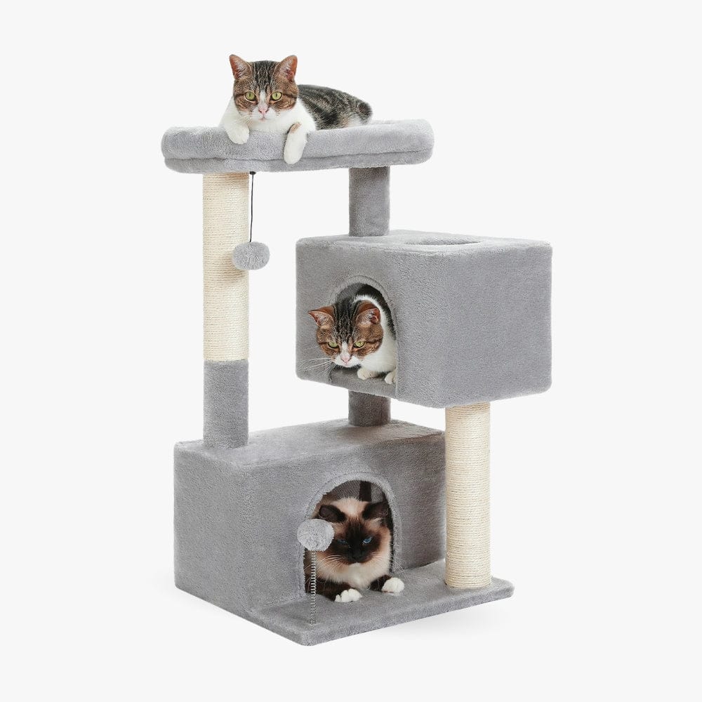 Arbre à chat moyen gris