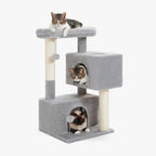 Arbre à chat moyen gris