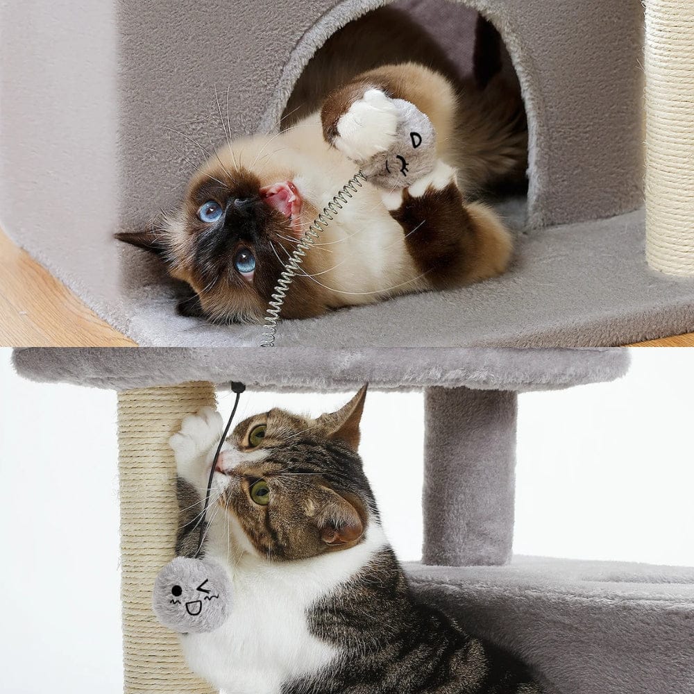 Arbre à chat moyen gris