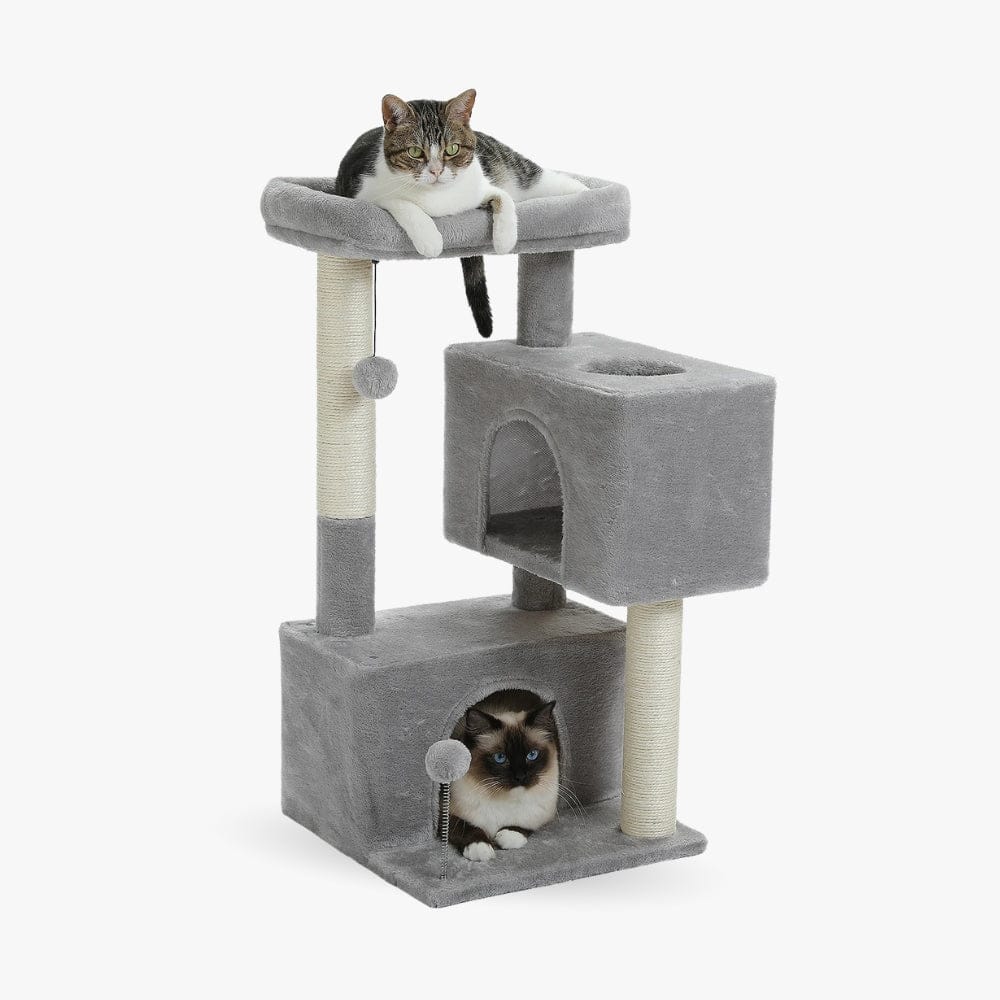 Arbre à chat moyen gris