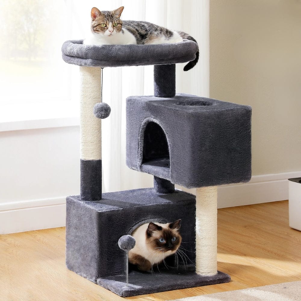 Arbre à chat moyen noir