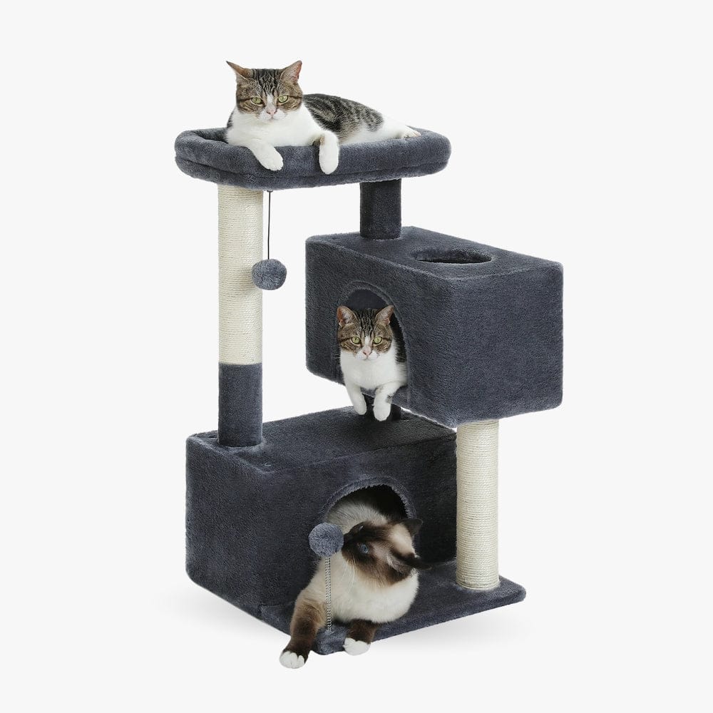 Arbre à chat moyen noir