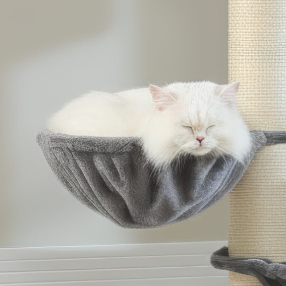 Arbre à chat - Multi-niveaux