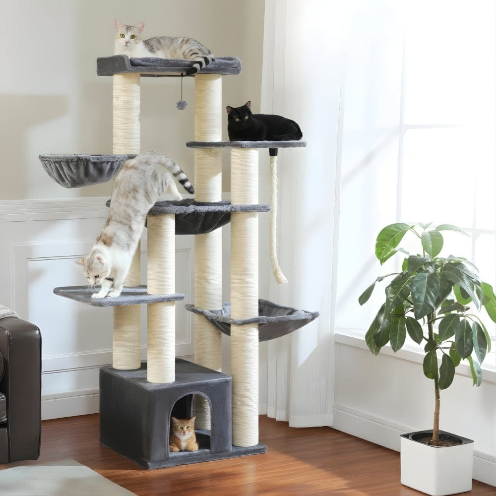 Arbre à chat - Multi-niveaux