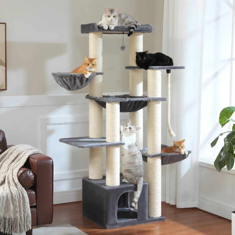 Arbre à chat - Multi-niveaux