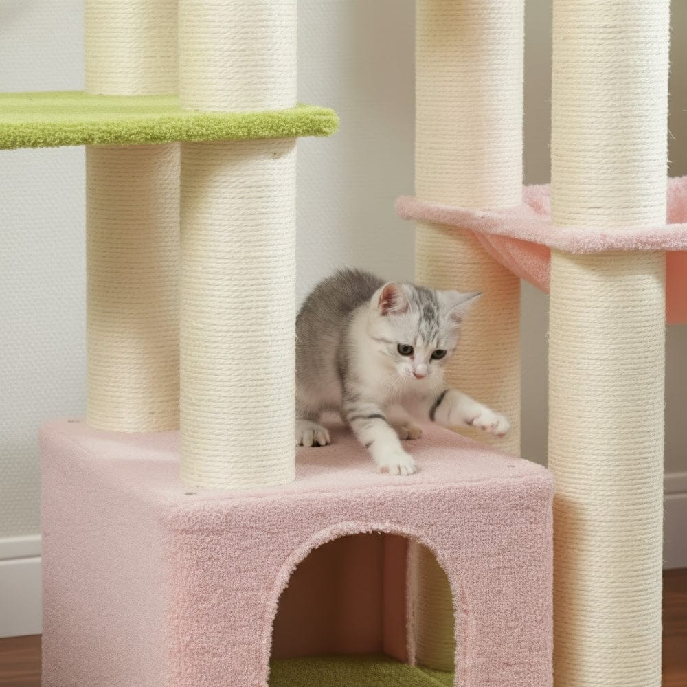 Arbre à chat - Multicolore