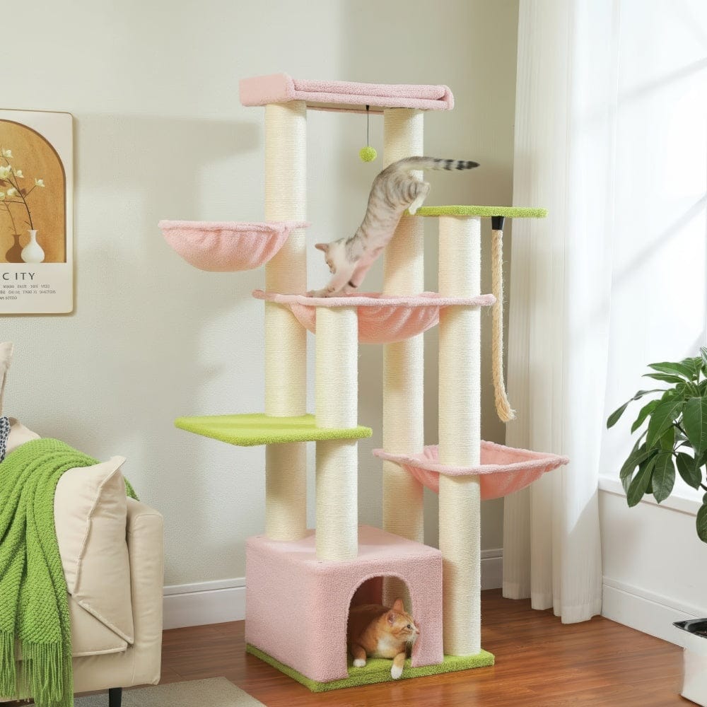 Arbre à chat - Multicolore