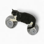 Arbre à chat mural - Pratique