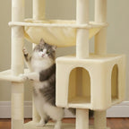 Arbre à chat - Niche