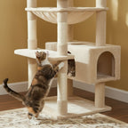 Arbre à chat - Niveau