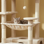 Arbre à chat - Niveau