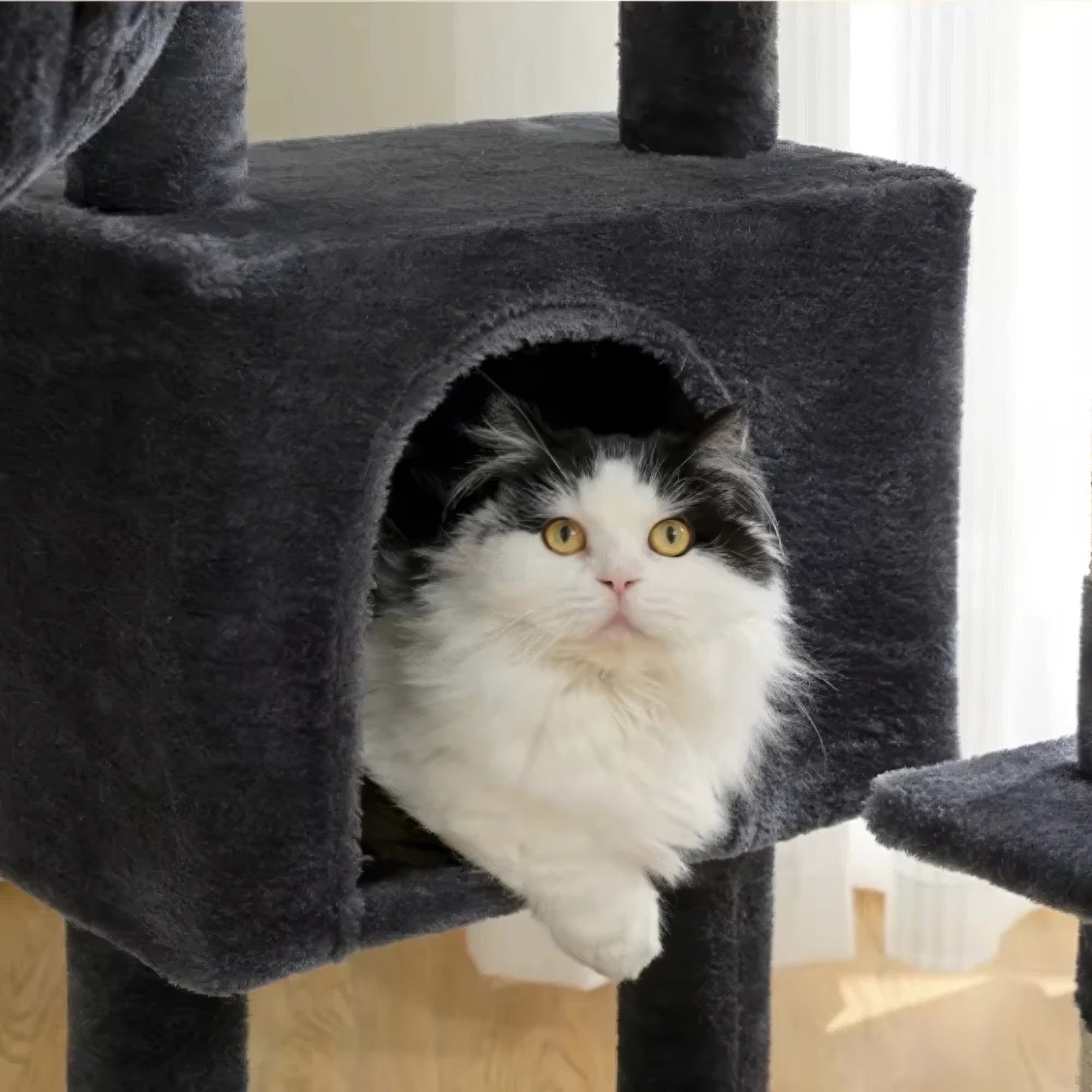 Arbre à chat - Obsidienne