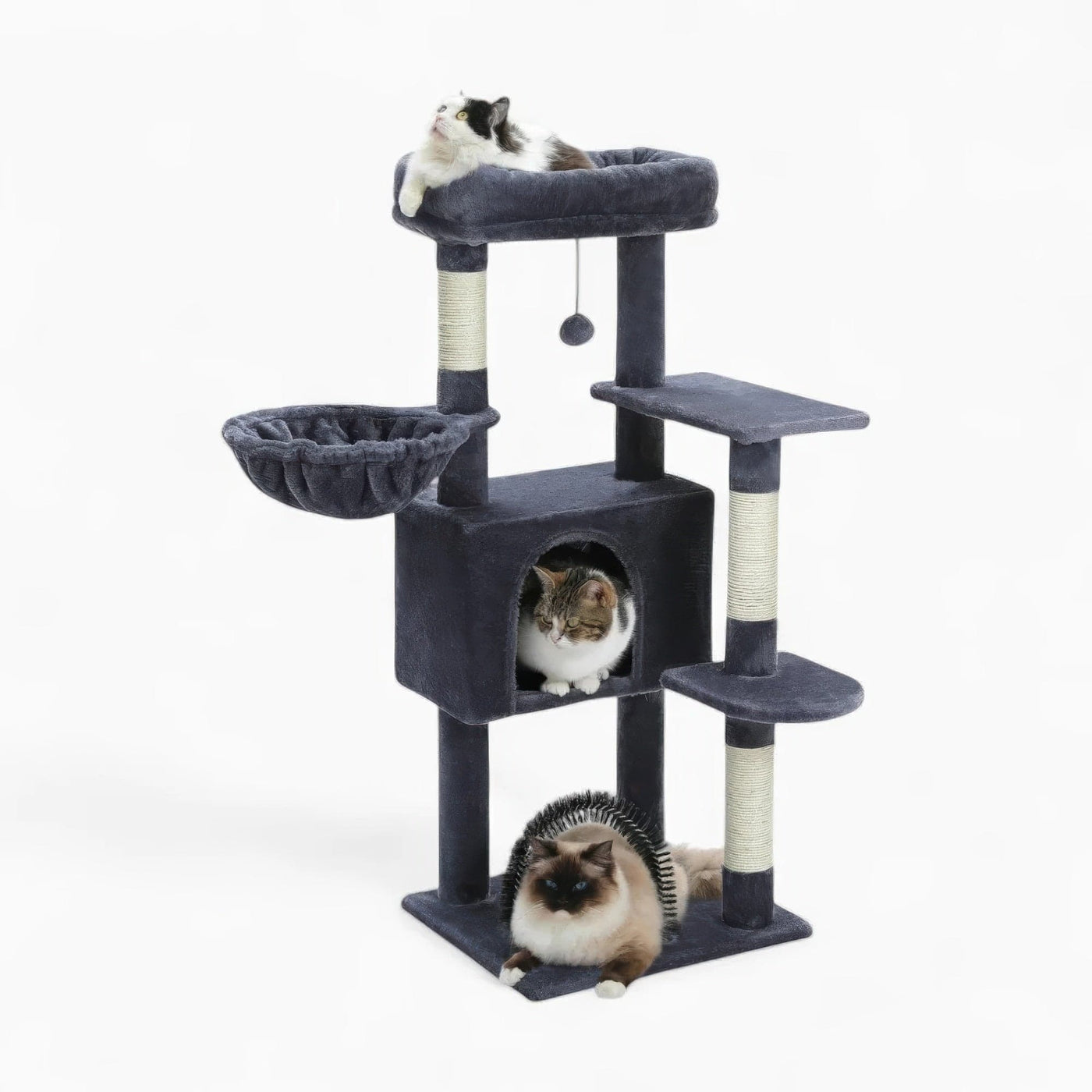 Arbre à chat - Obsidienne