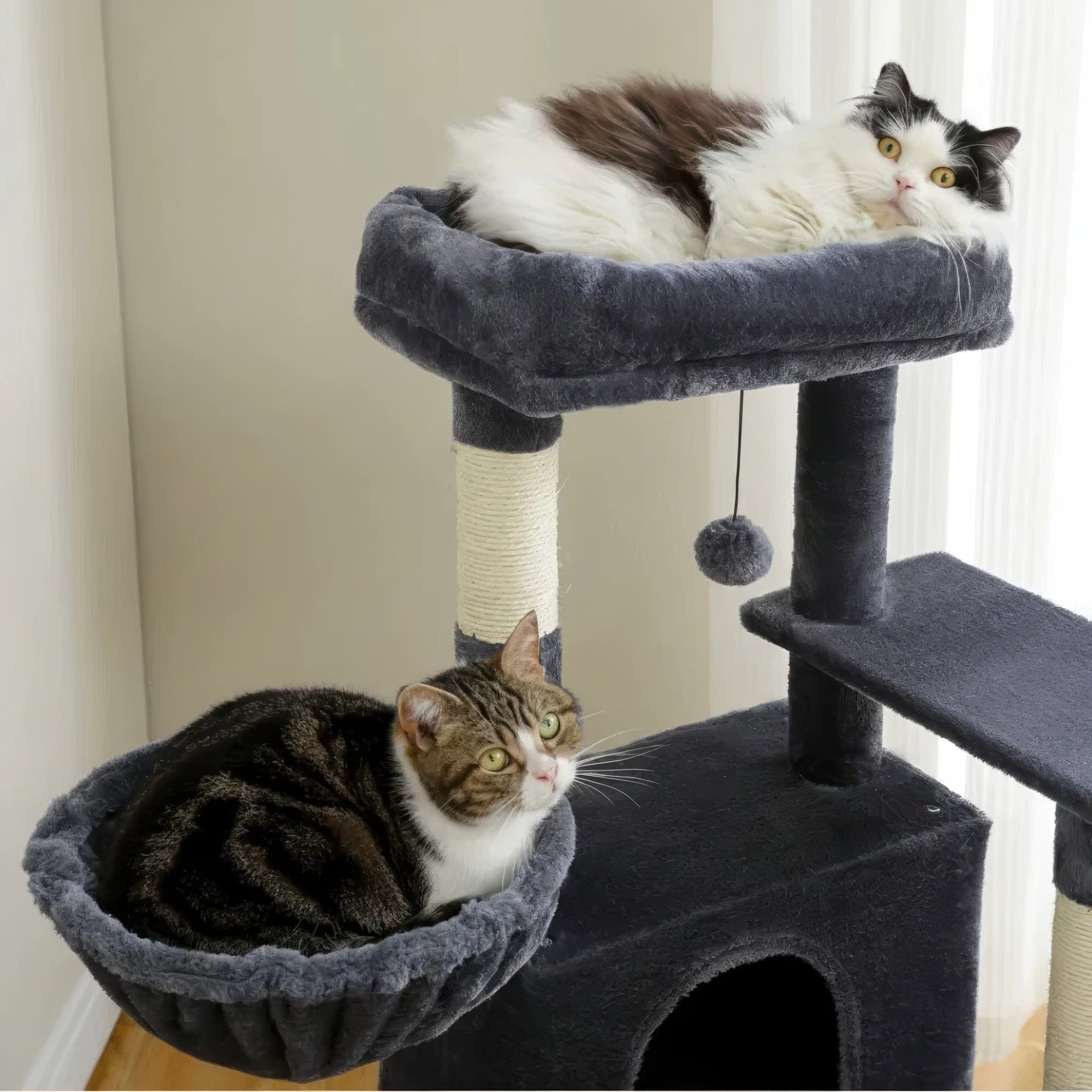 Arbre à chat - Obsidienne