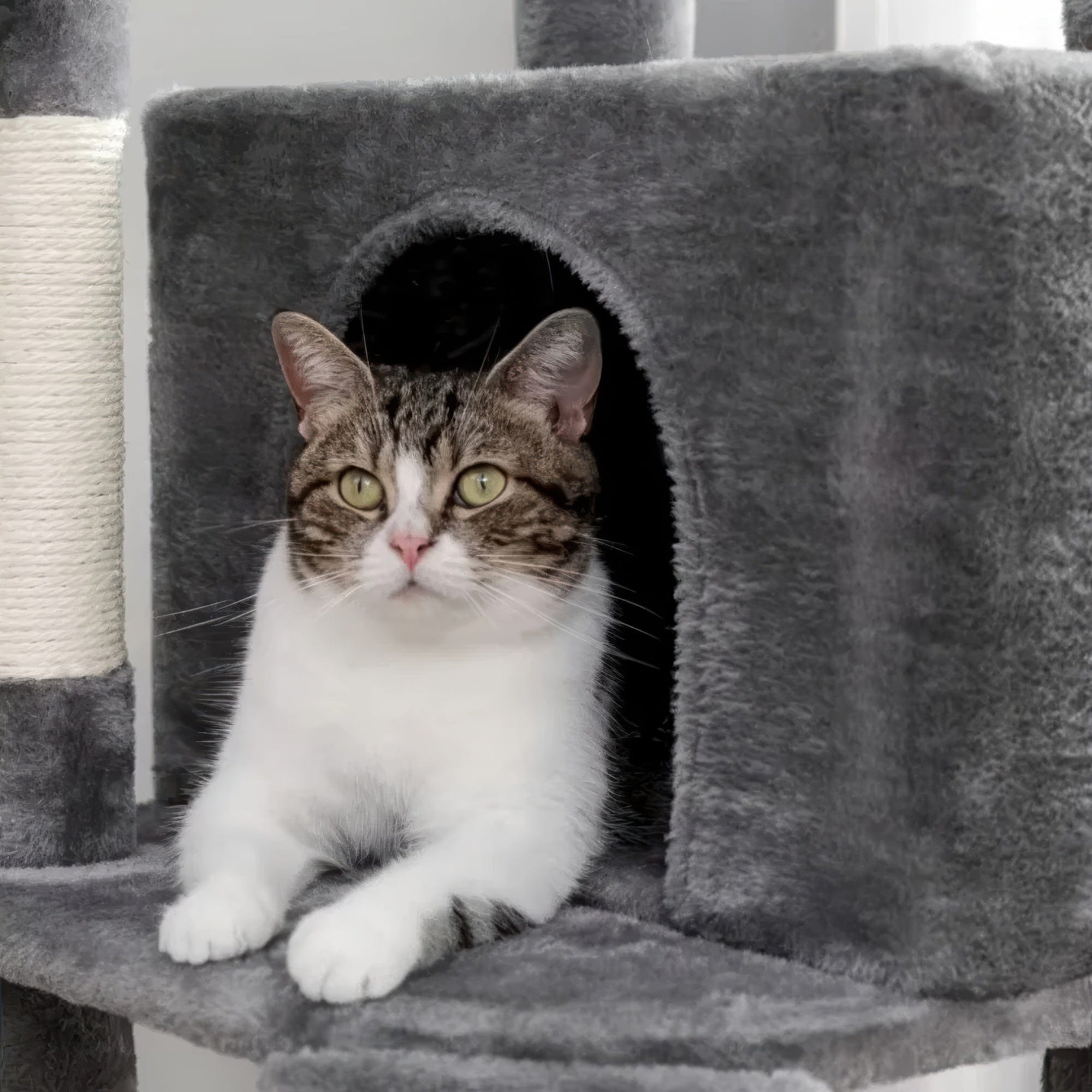 Arbre à chat - Palier