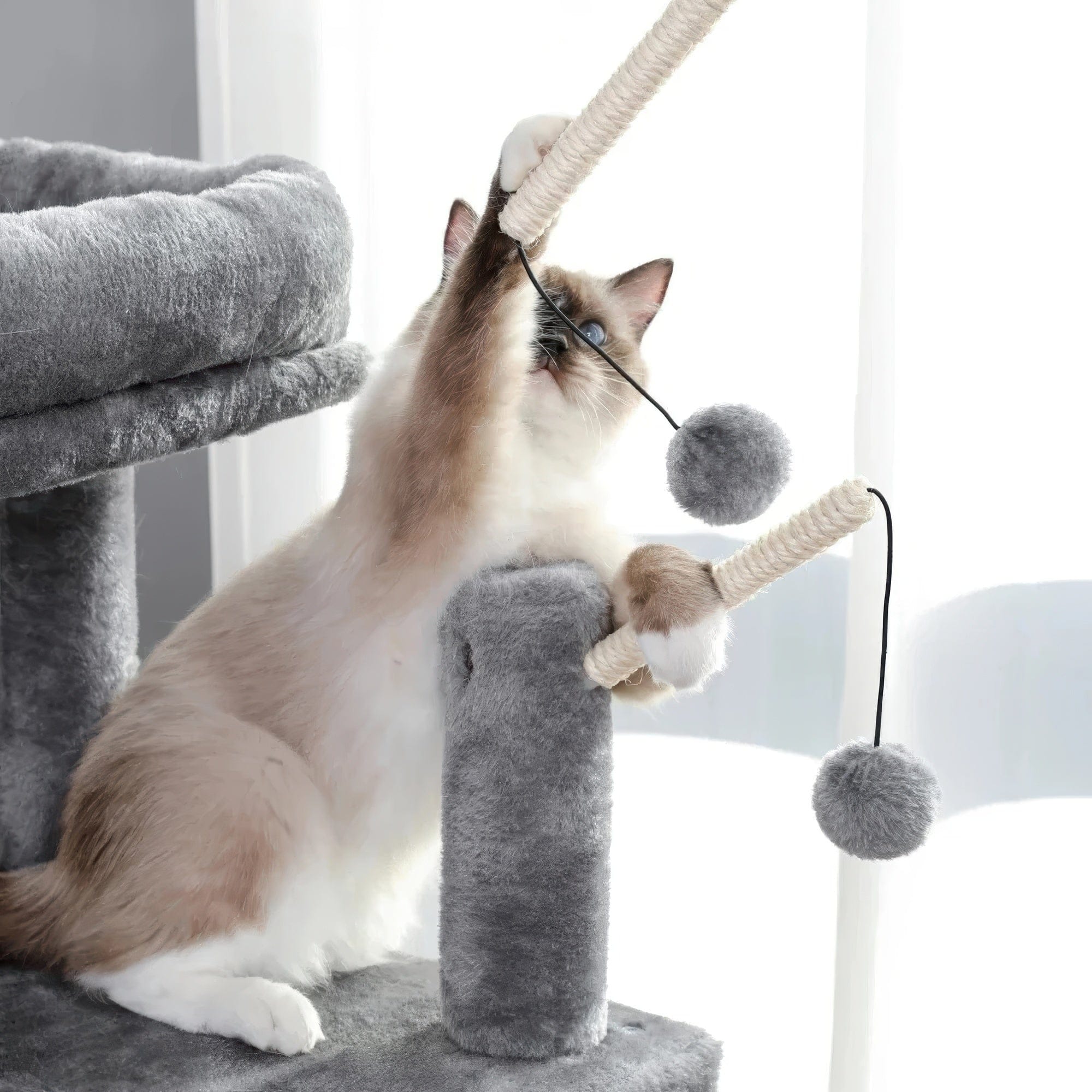 Arbre à chat - Palier