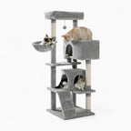 Arbre à chat - Parcours