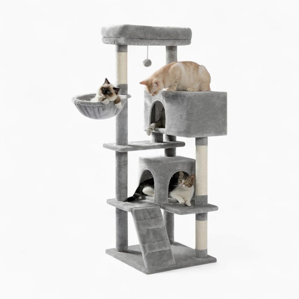 Arbre à chat - Parcours