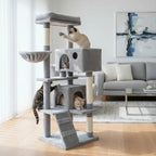 Arbre à chat - Parcours