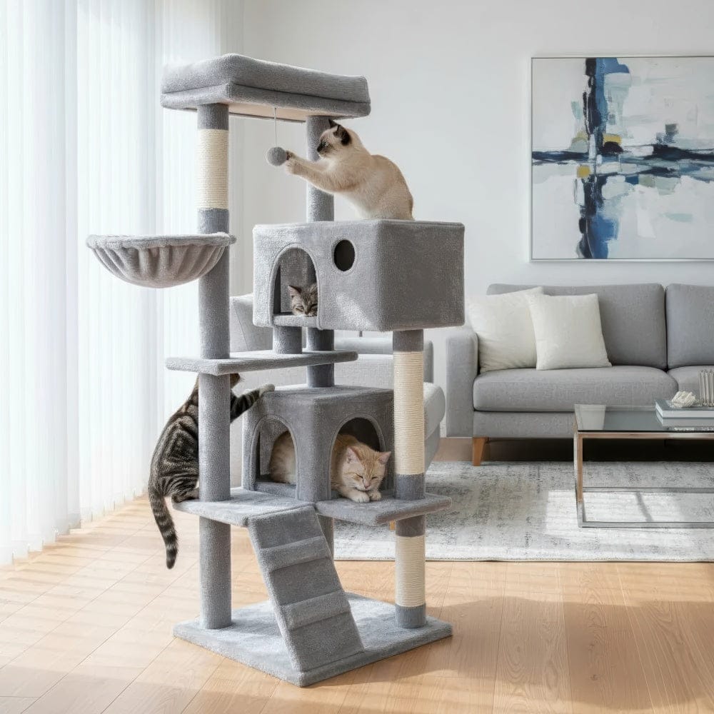 Arbre à chat - Parcours