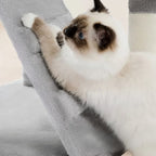 Arbre à chat - Parcours