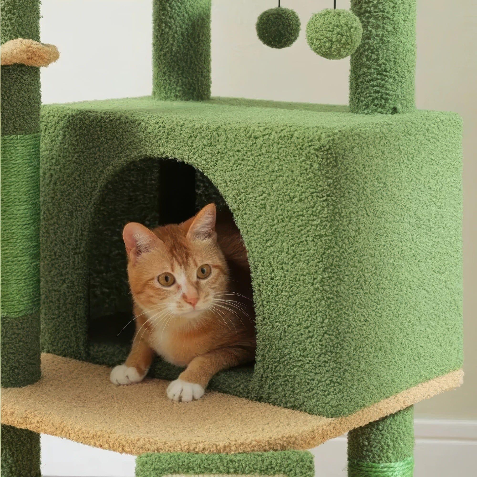 Arbre à chat - Pelouse verte