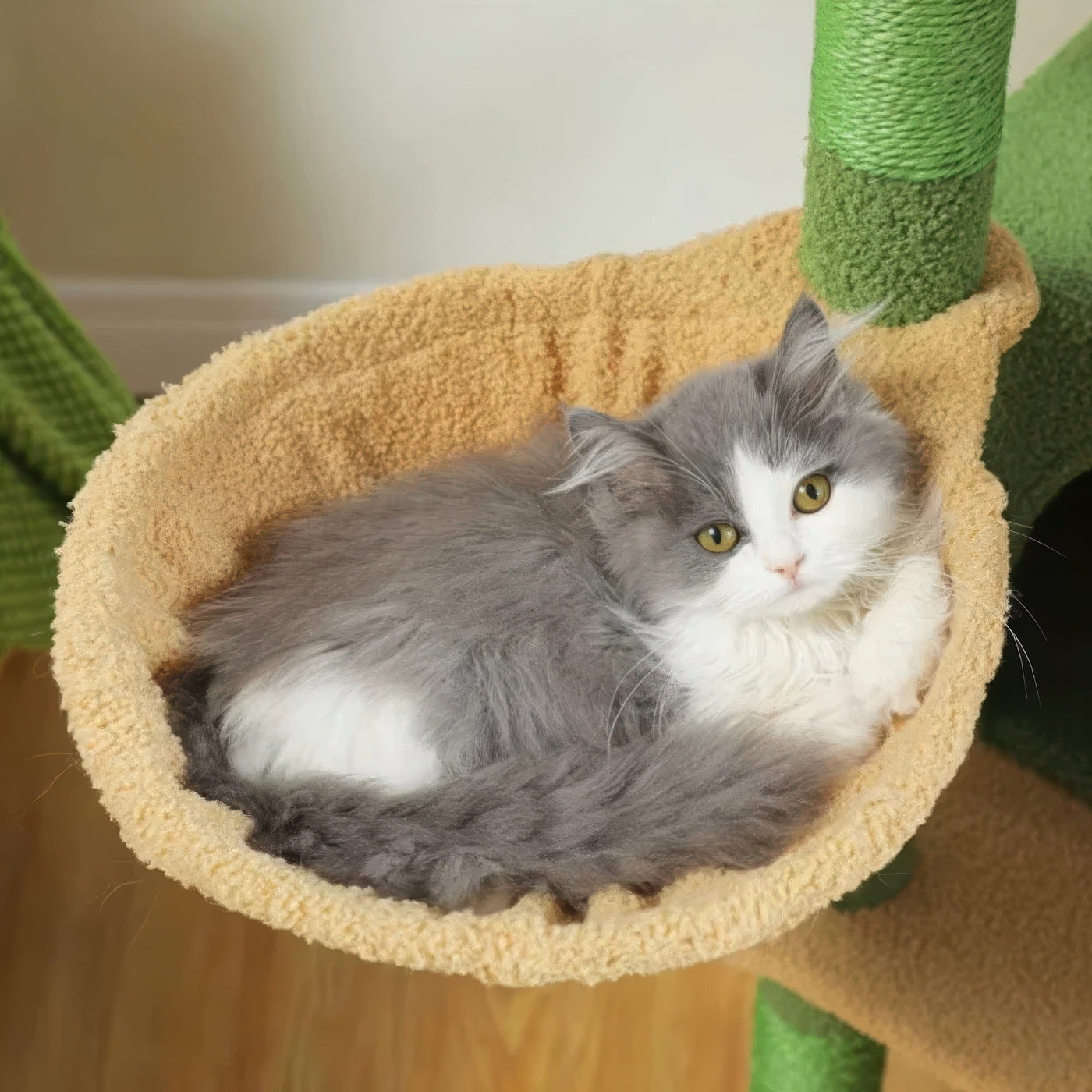 Arbre à chat - Pelouse verte