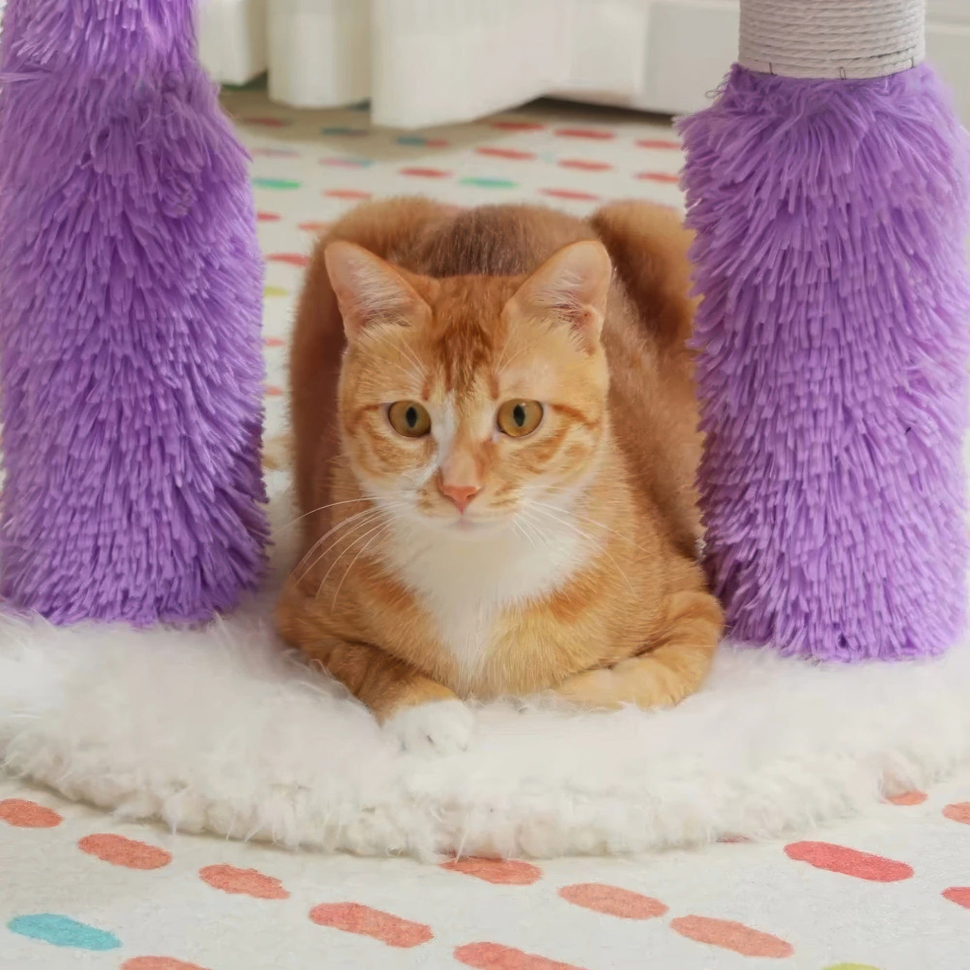 Arbre à chat - Peluche