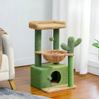 Arbre à chat petit cactus