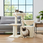 Arbre à chat petit doux