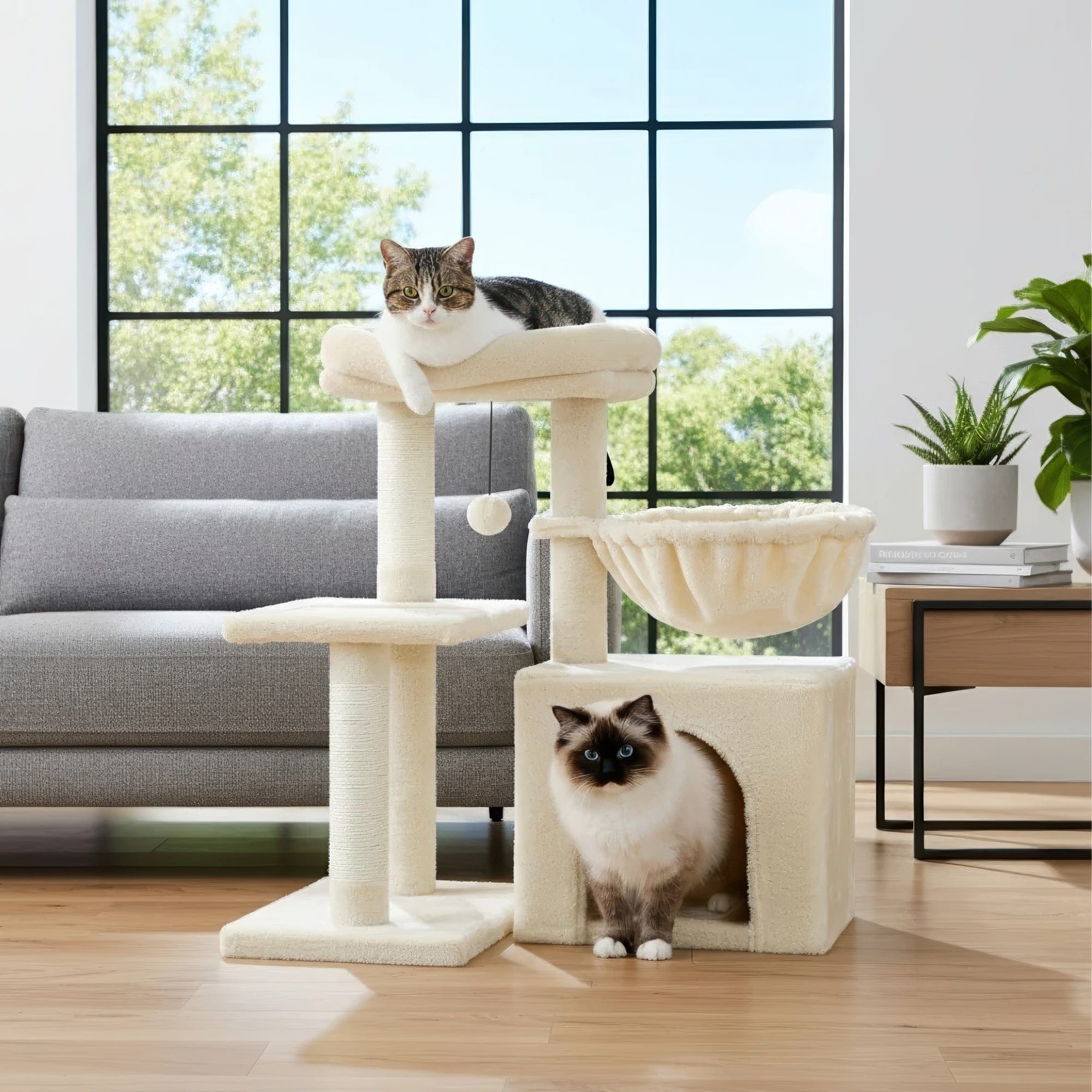 Arbre à chat petit doux