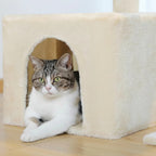 Arbre à chat petit doux