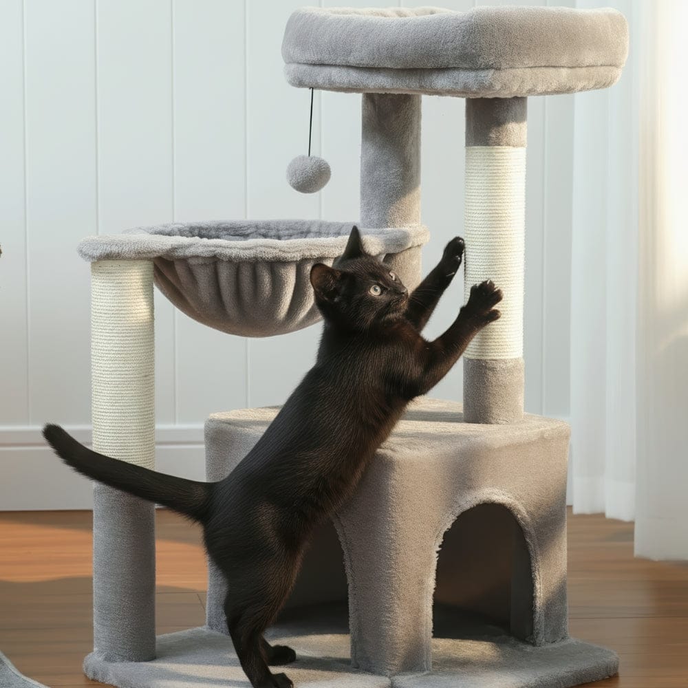 Arbre à chat petit gris