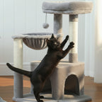 Arbre à chat petit gris