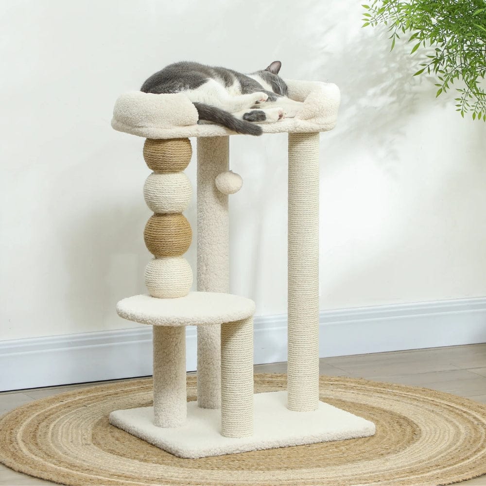 Arbre à chat petit moderne