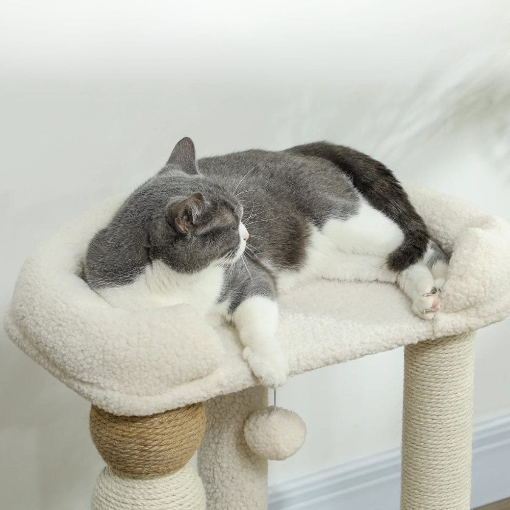 Arbre à chat petit moderne