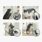 Arbre à chat petit moderne