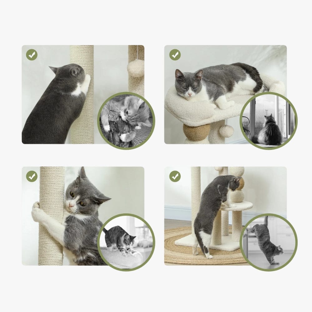 Arbre à chat petit moderne