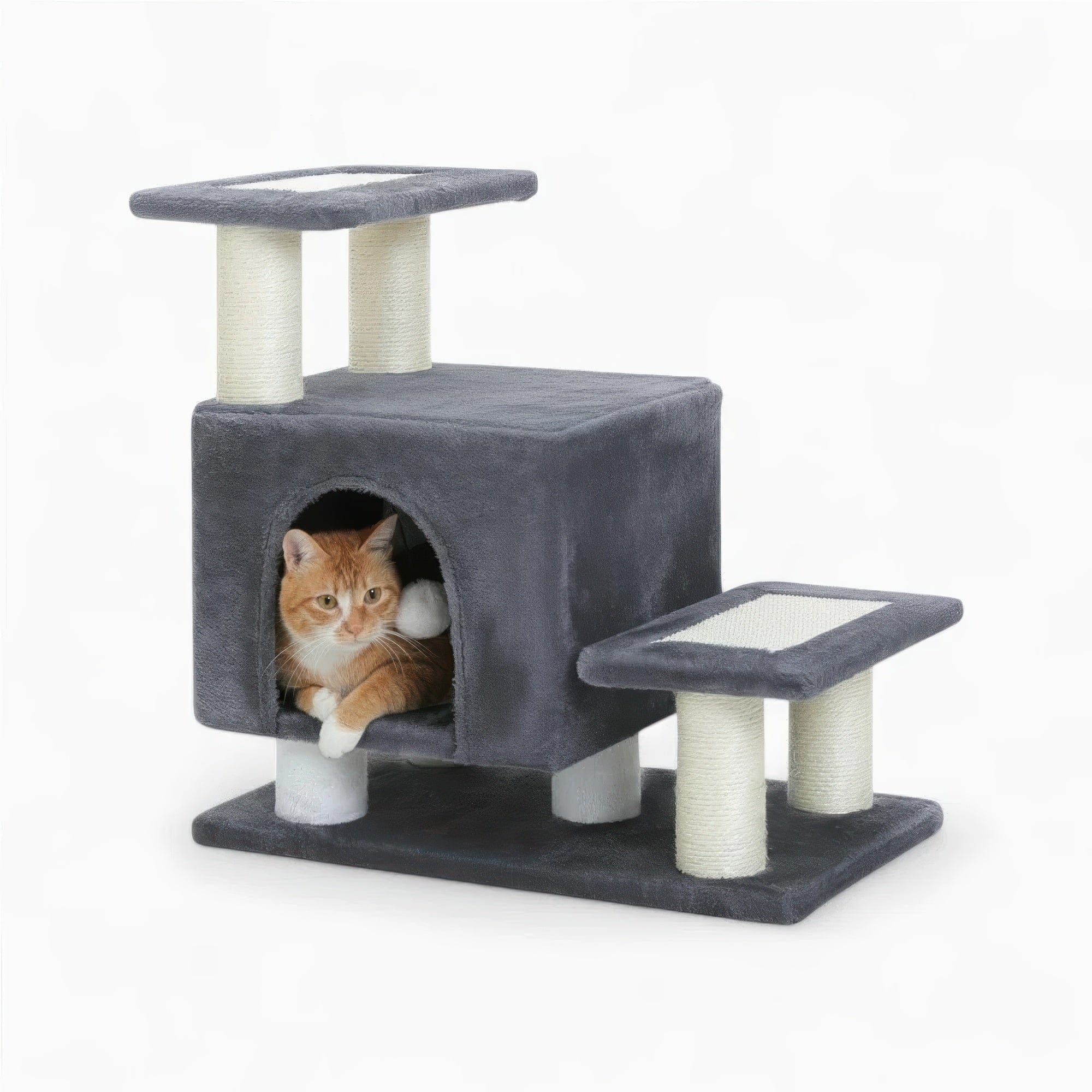 Arbre à chat petit noir