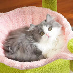 Arbre à chat petit vert