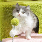 Arbre à chat petit vert