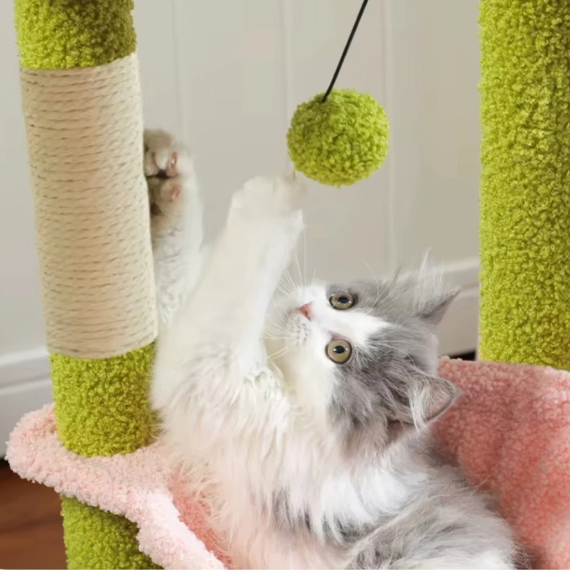 Arbre à chat petit vert