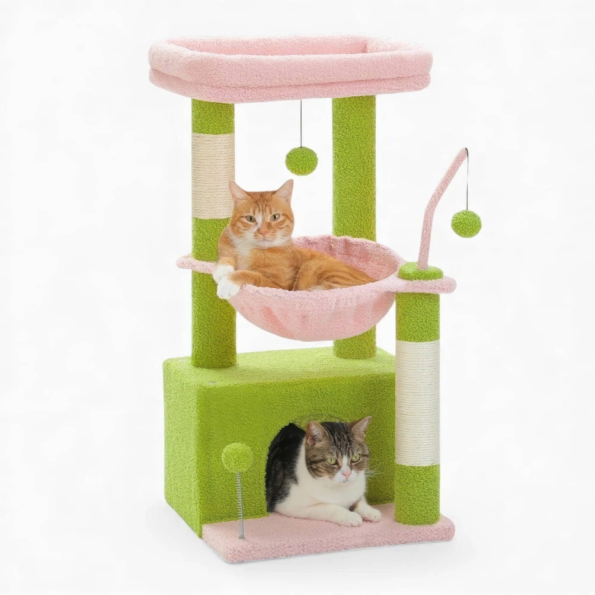 Arbre à chat petit vert